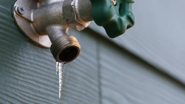 Best Leak Detection Services  in Florham Park, NJ